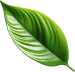 Leaf Accent